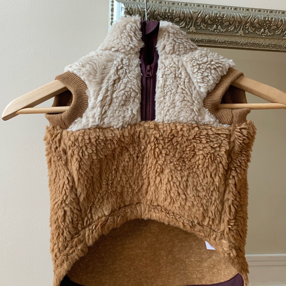 American Eagle dog jacket
